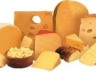 CHEESE MANUFACTURING